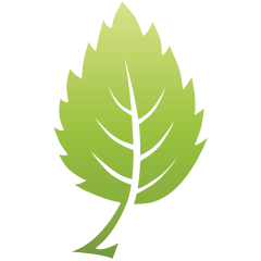 Green_leaf_09